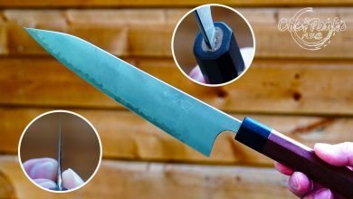 Shibata-Kotetsu-Type-III-Gyuto-Review---Aogami-Super-(Takayuki-Shibata)-210mm